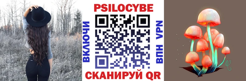 купить наркотики цена Кодинск Псилоцибиновые грибы GOLDEN TEACHER