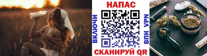 где продают наркотики  Кодинск  Канабис Amnesia 